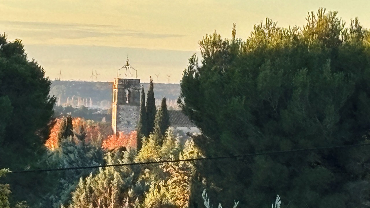 Photo of Others in Maussane