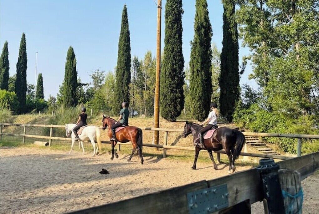Photo of Others in Pont Royal