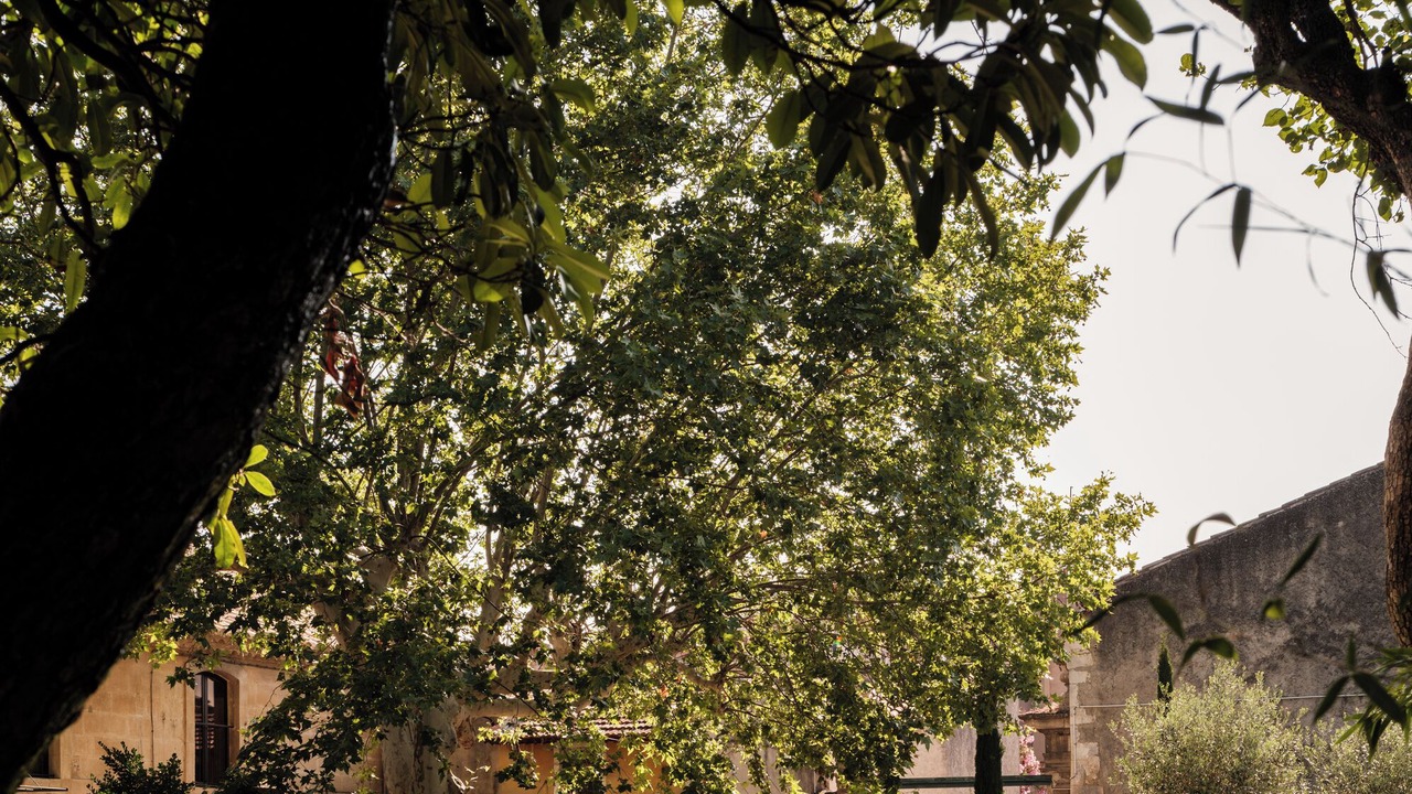 Photo of Outdoor in Eyragues