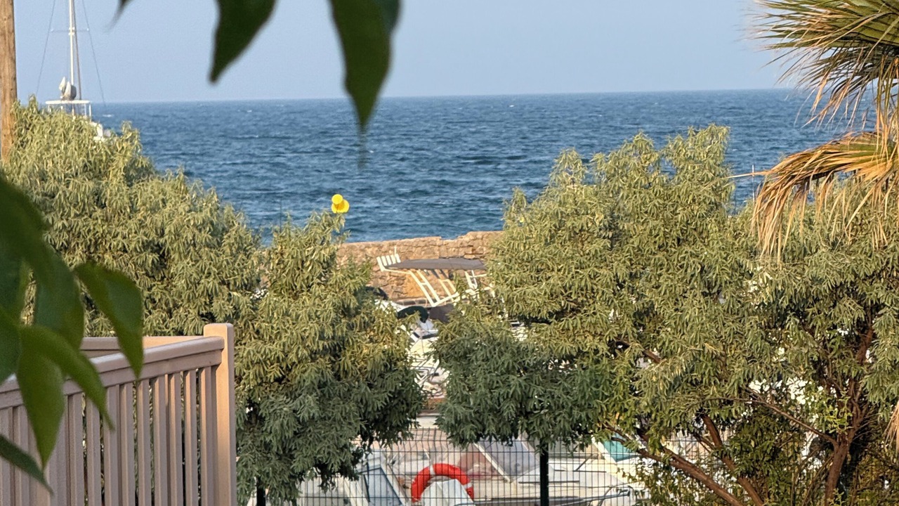 Photo of Others in Giens