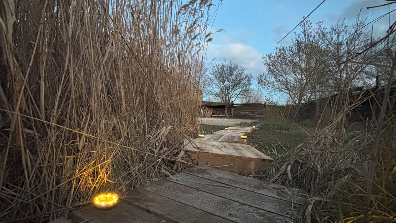 Photo of Outdoor in Saliers