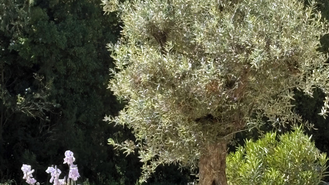Photo of Outdoor in Verquieres