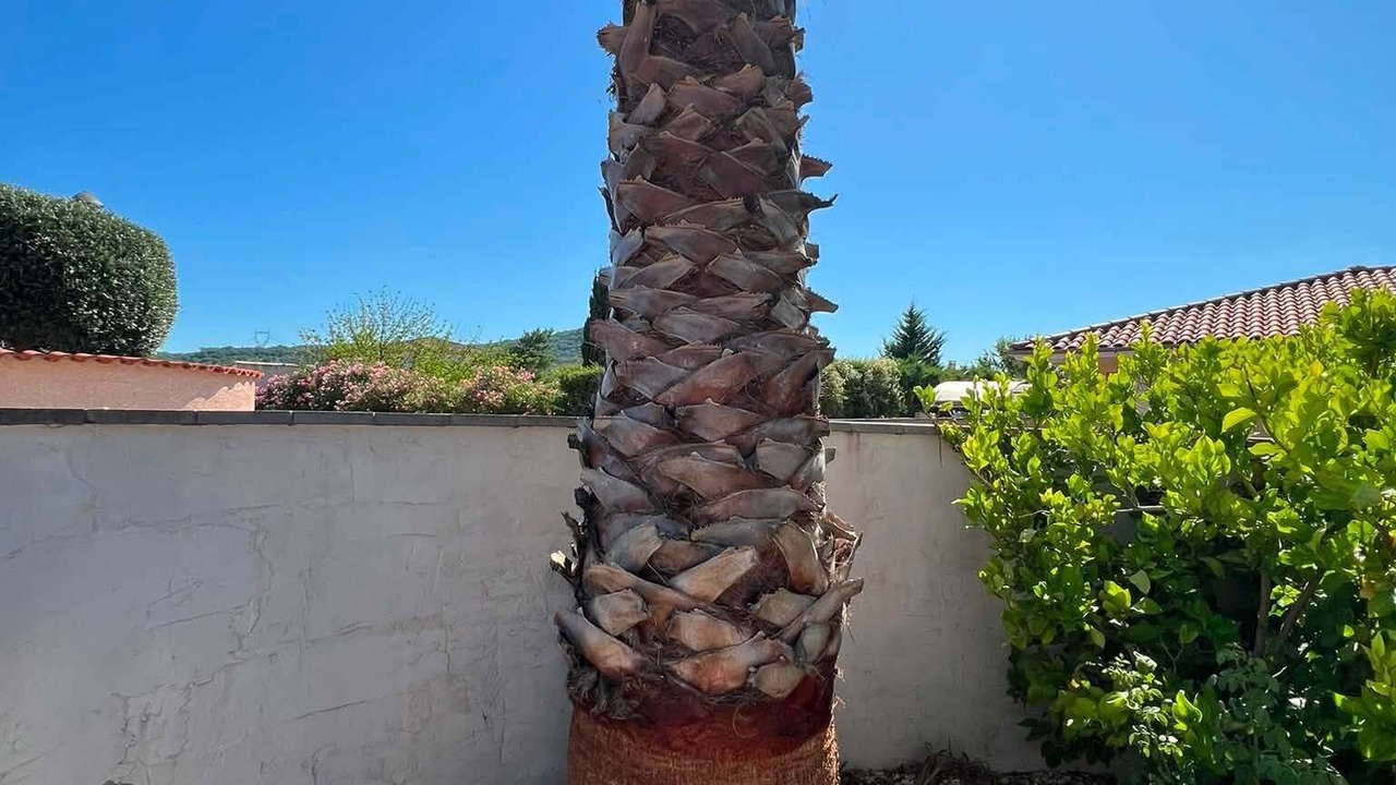 Photo of Outdoor in Fontes
