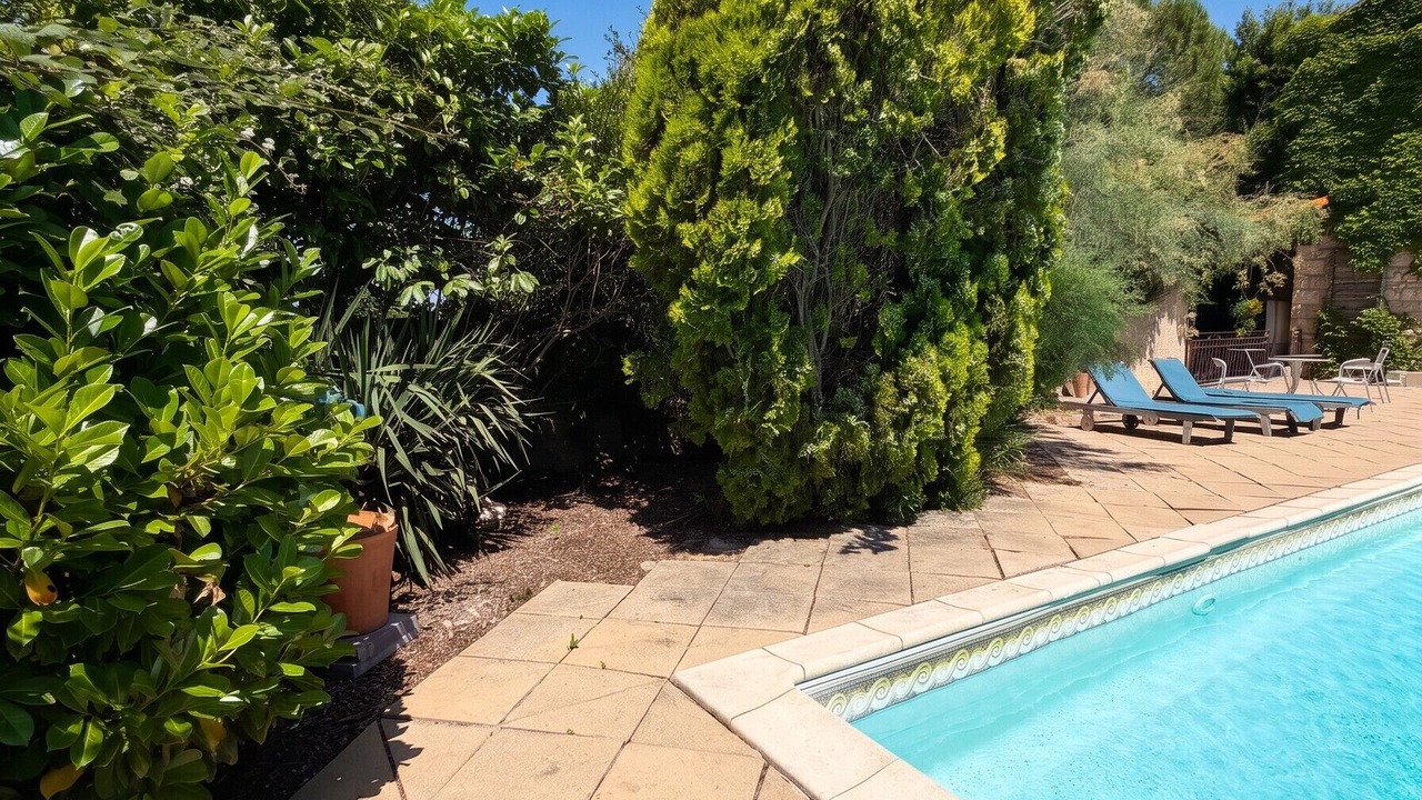Photo of Outdoor in Albaron