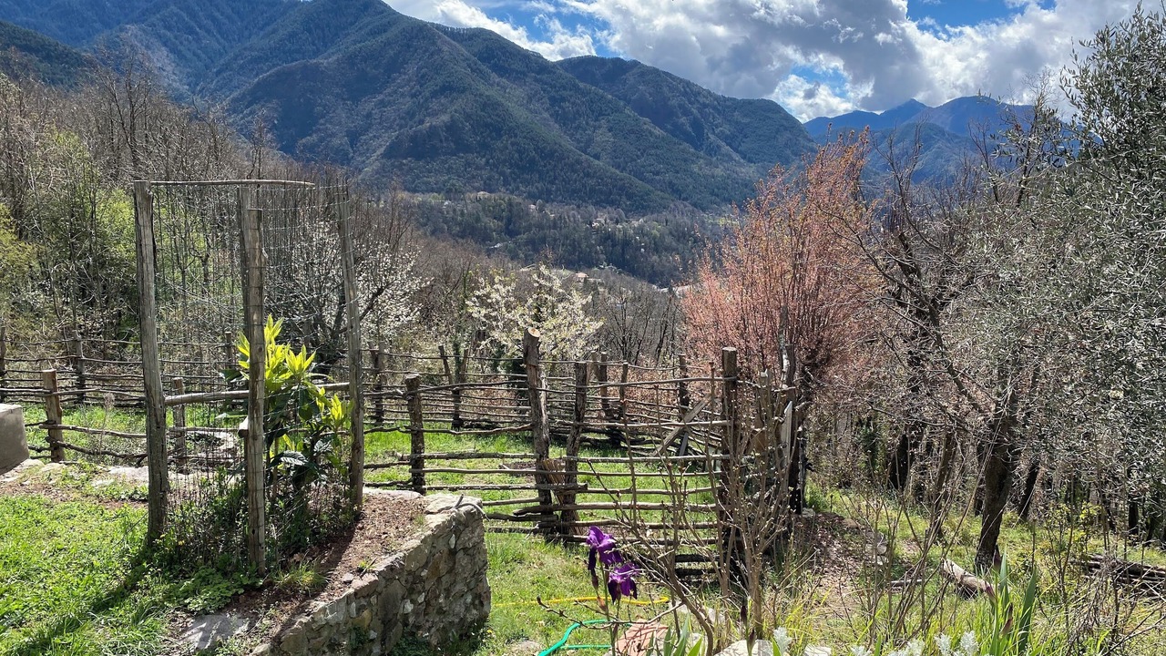 Photo of Outdoor in La Bollene-Vesubie