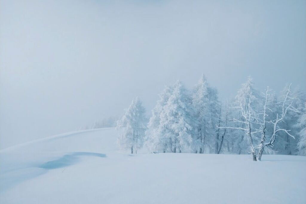 Photo of Others in Puy-Saint-Vincent