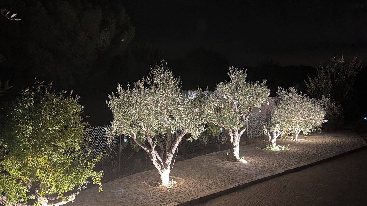 Photo of Outdoor in Vidauban