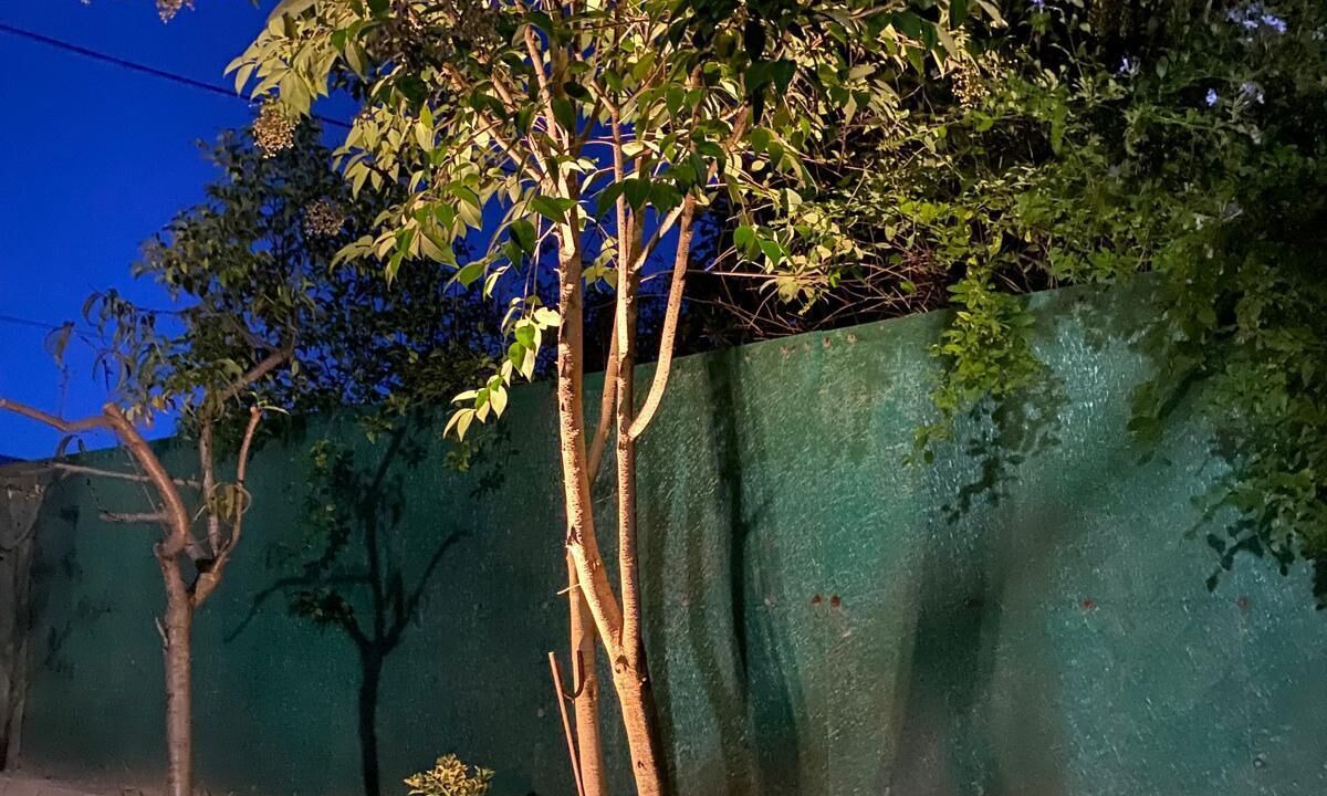 Photo of Outdoor in Roquefort-les-Pins