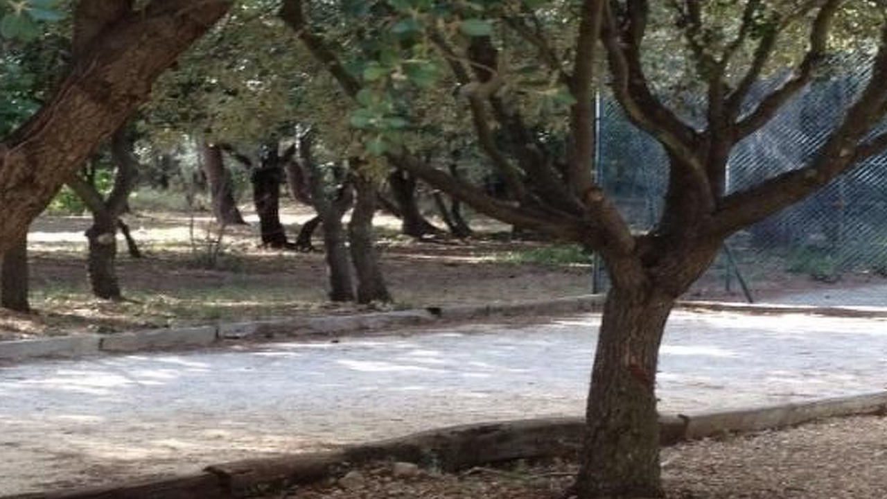 Photo of Outdoor in Grans