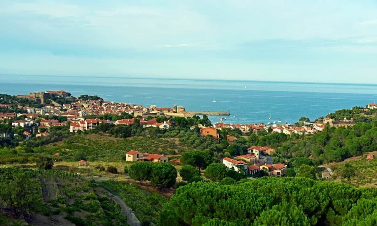 Photo of Others in Port-Vendres