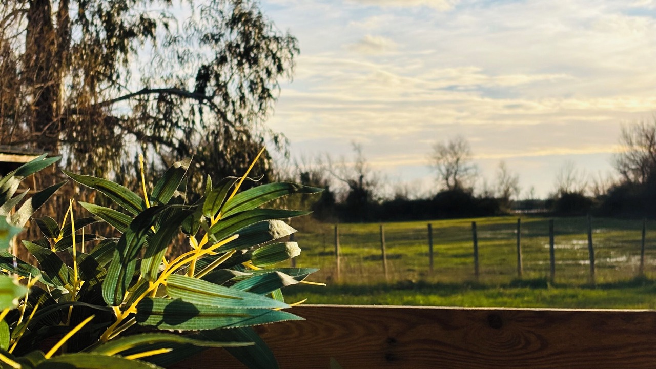 Photo of Outdoor in Saliers