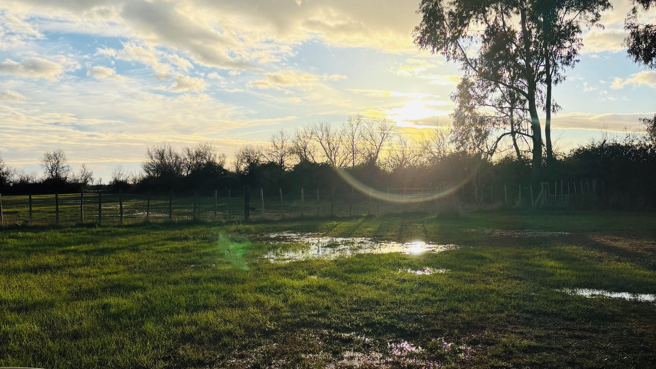 Photo of Outdoor in Saliers