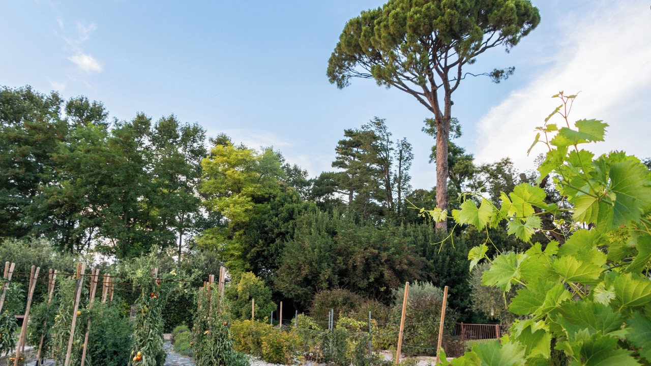 Photo of Outdoor in Saint-Andiol
