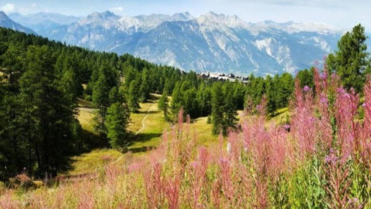 Photo of Others in Vars