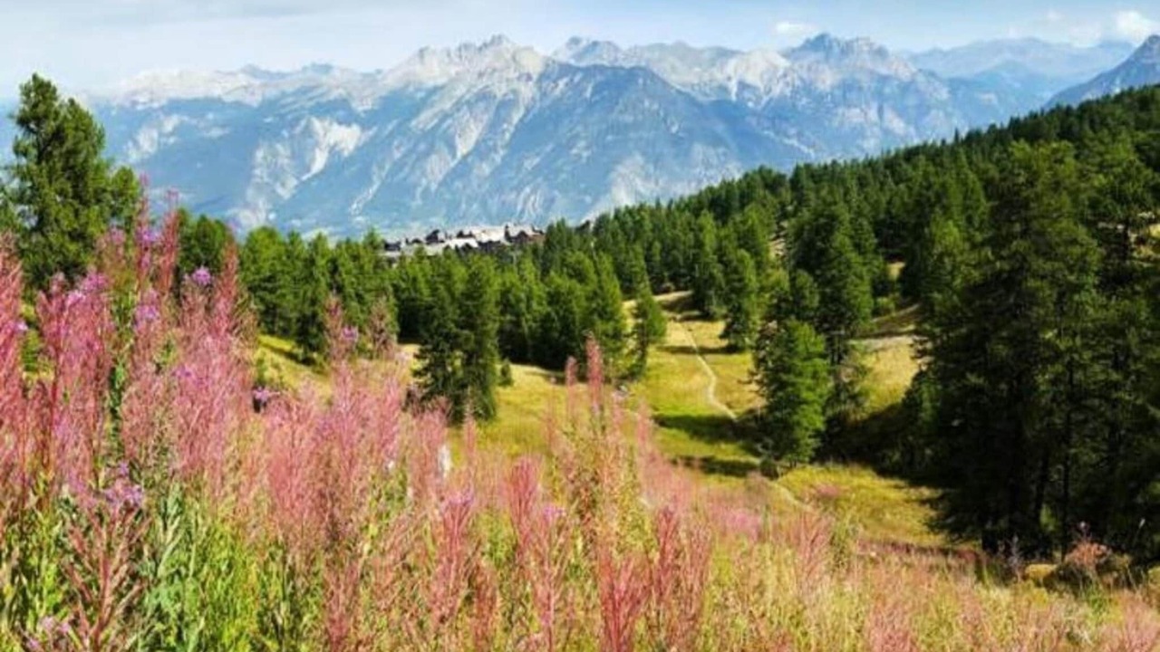 Photo of Others in Vars