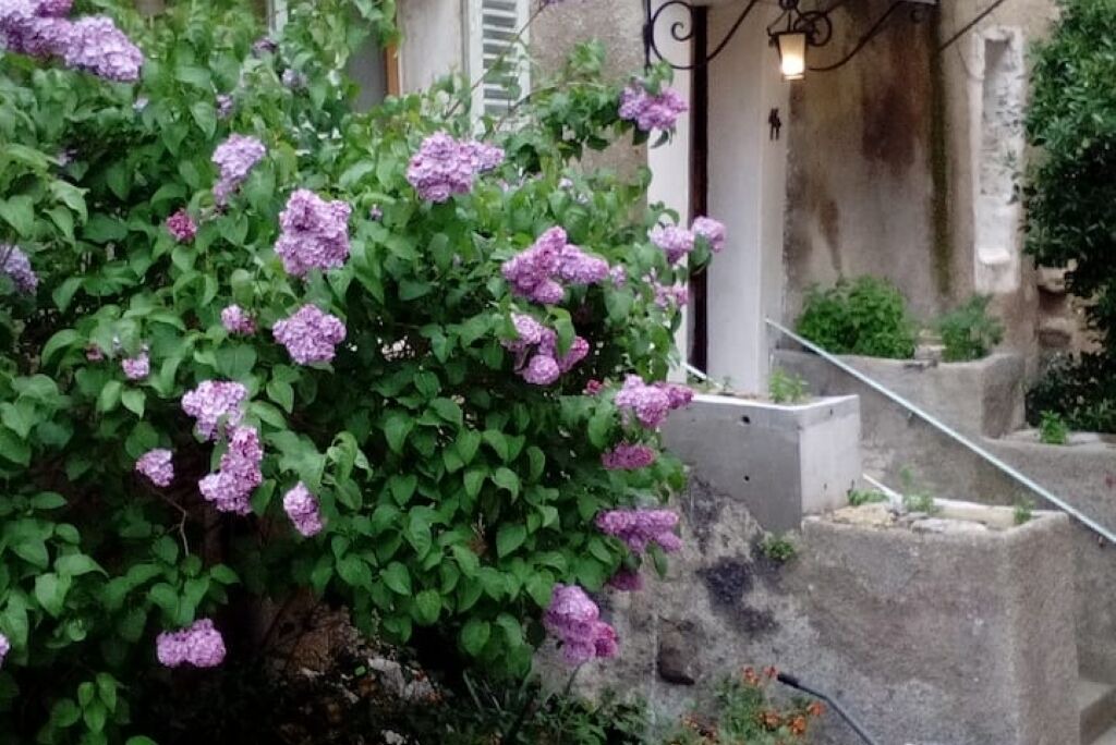 Photo of Outdoor in Moulinet