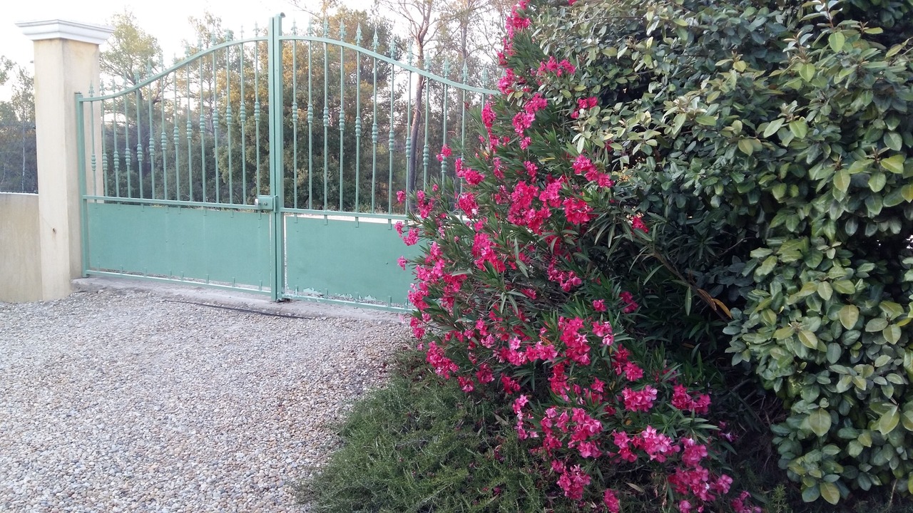 Photo of Outdoor in Vidauban