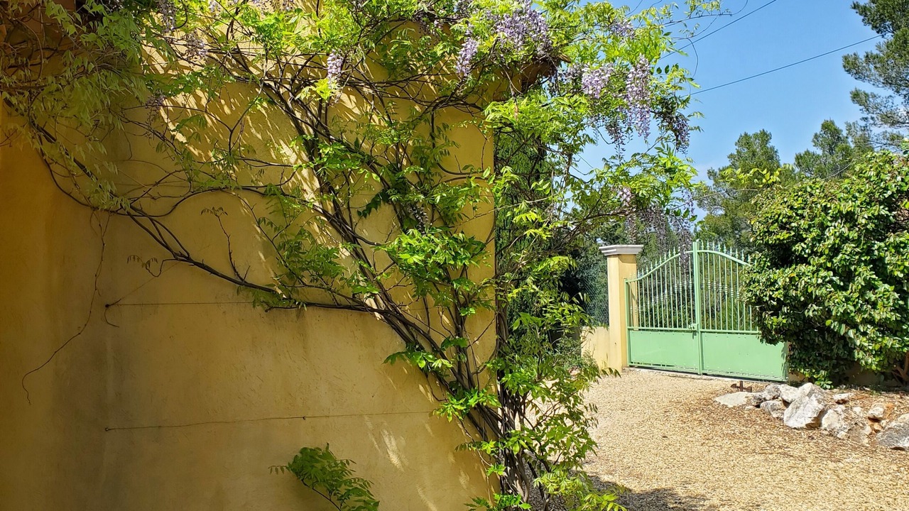 Photo of Outdoor in Vidauban