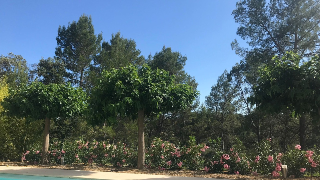 Photo of Outdoor in Vidauban