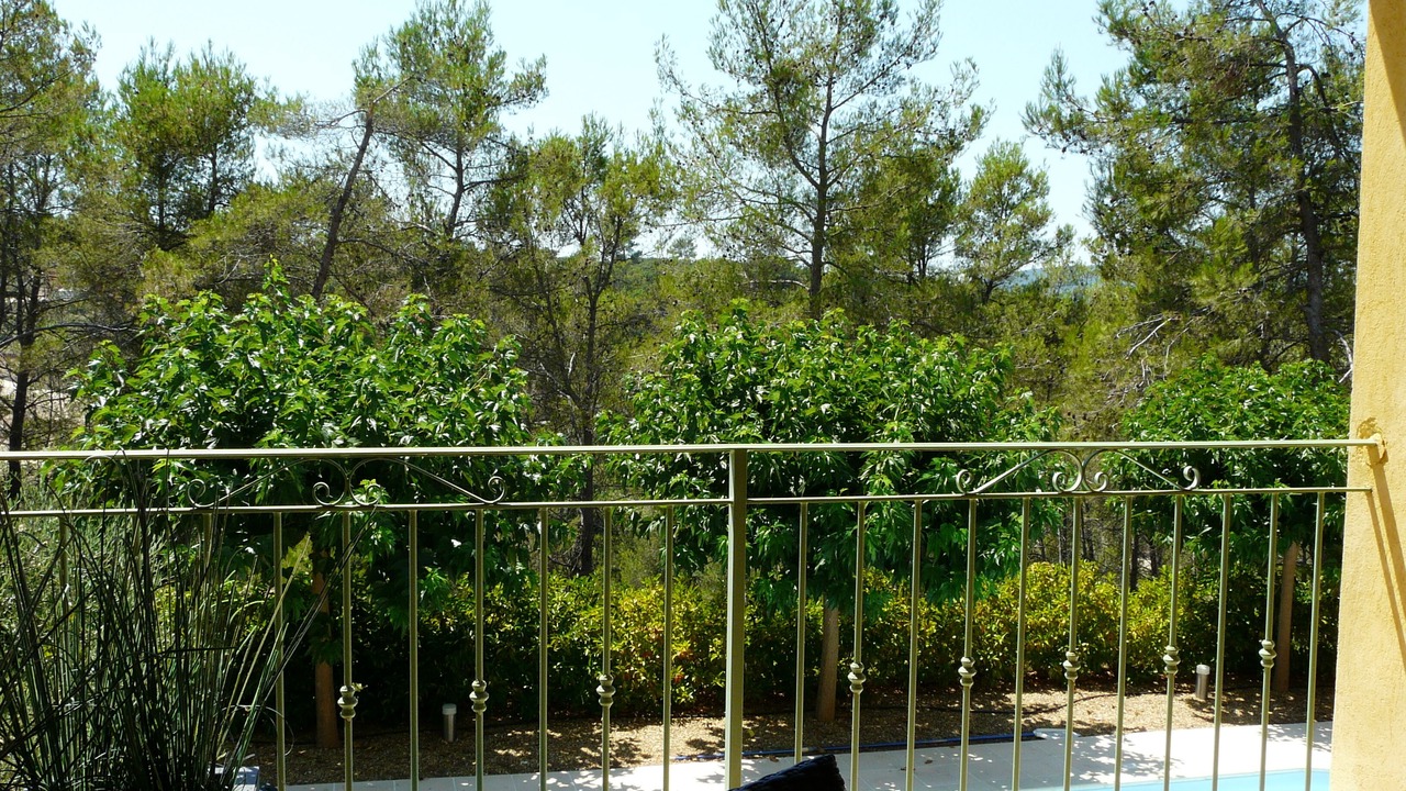 Photo of Outdoor in Vidauban