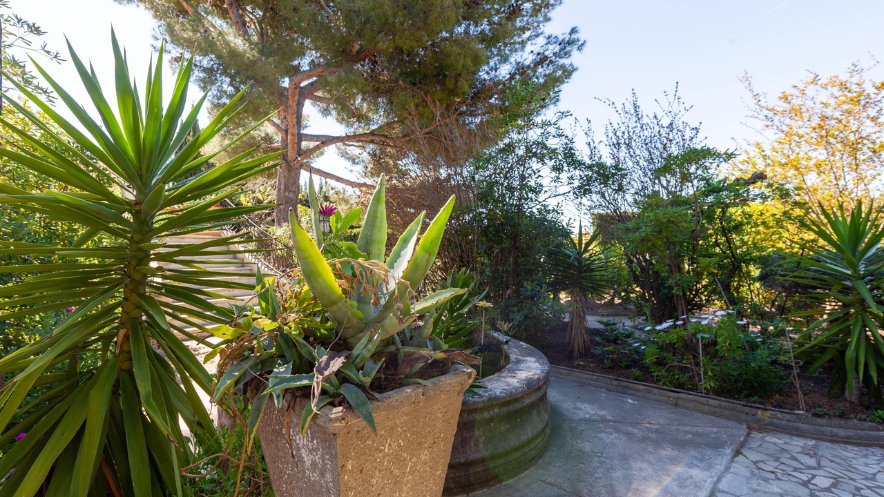 Photo of Outdoor in Carry-le-Rouet