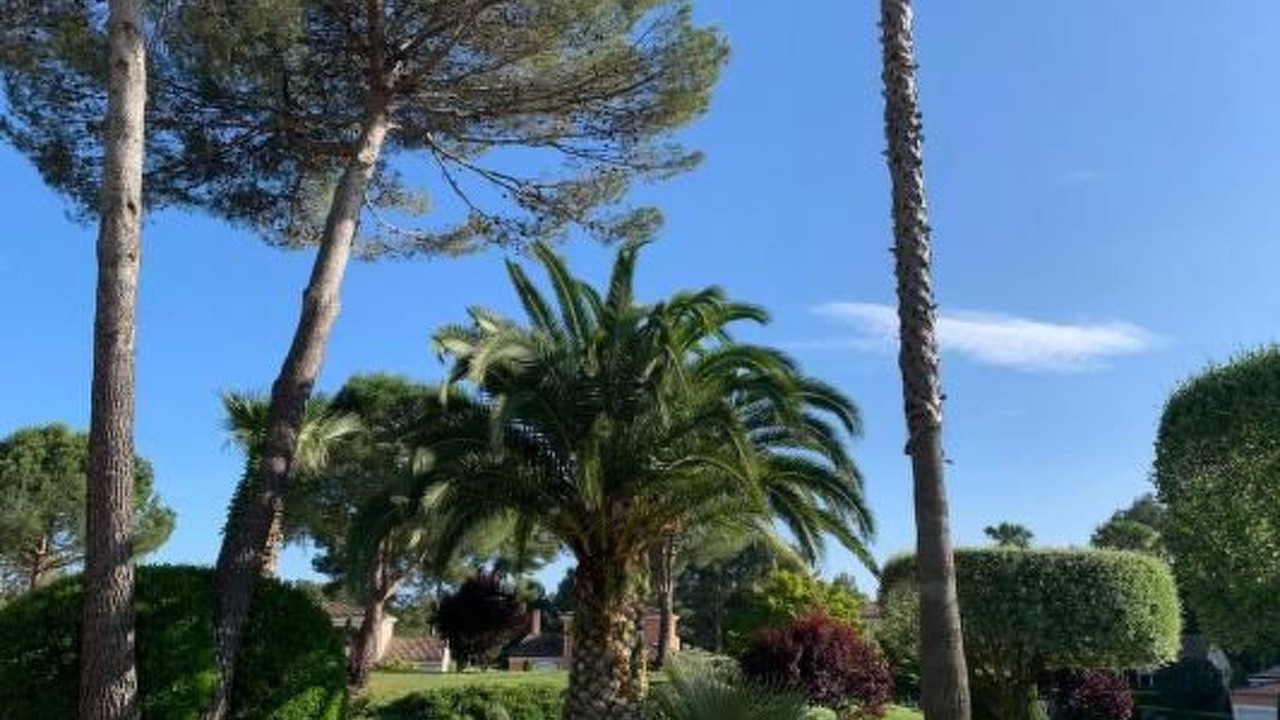 Photo of Others in Mougins