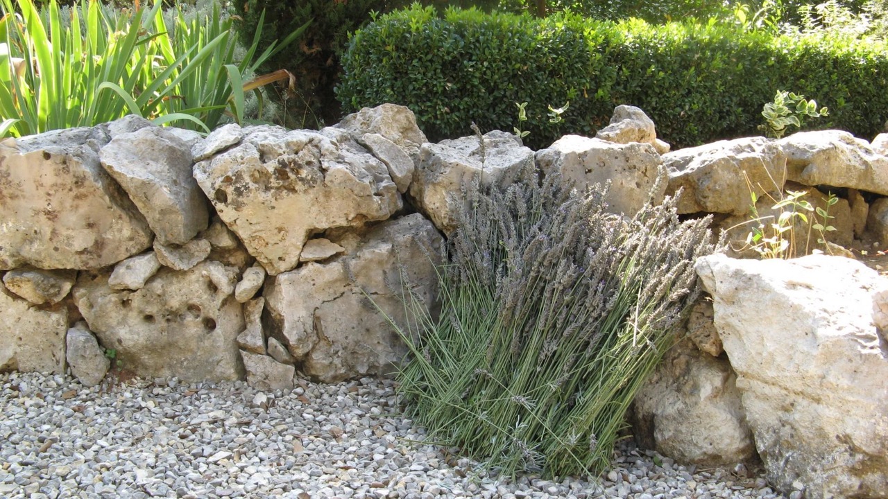 Photo of Others in Garrigues-Sainte-Eulalie