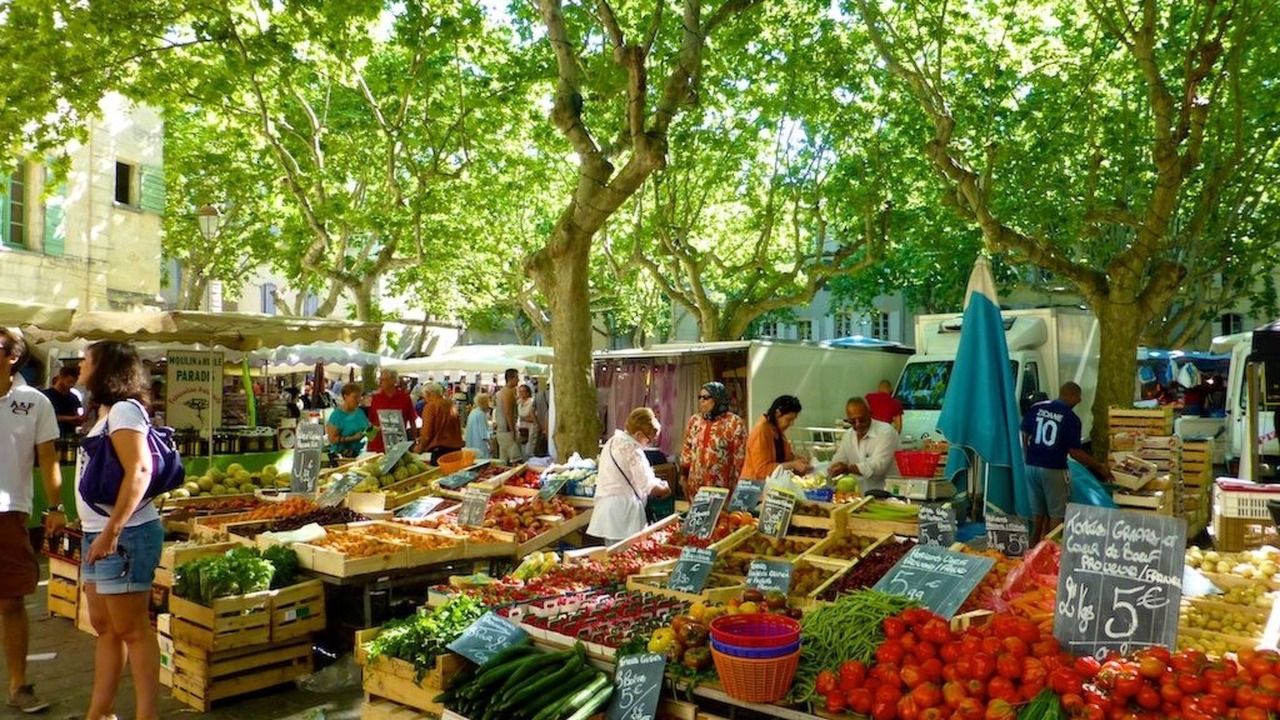 Photo of Others in Garrigues-Sainte-Eulalie