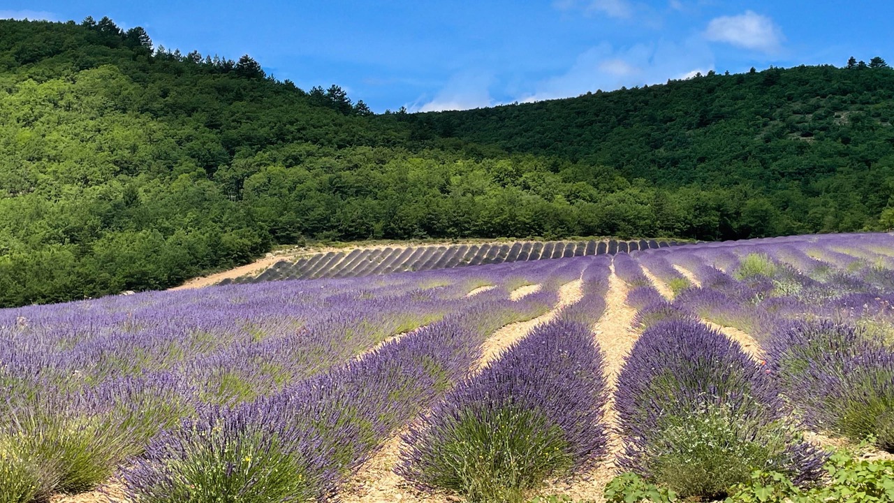 Photo of Others in Chateauneuf-Val-Saint-Donat