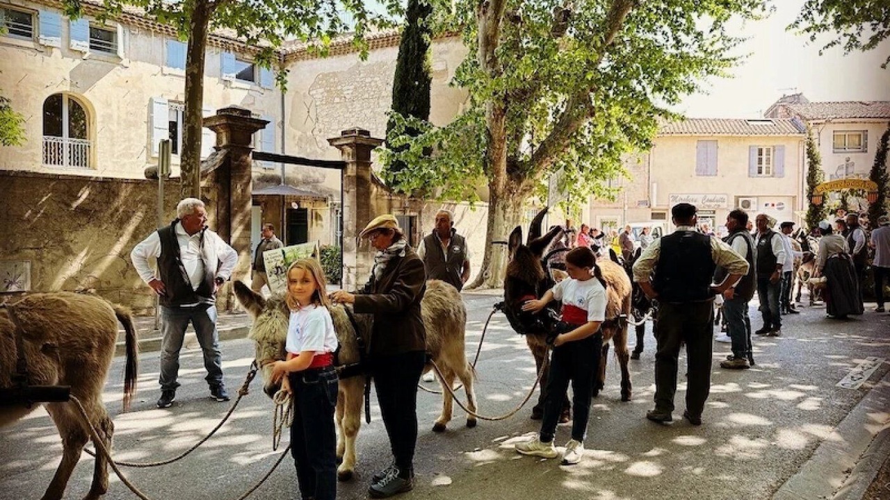 Photo of Others in St.-Remy-de-Provence