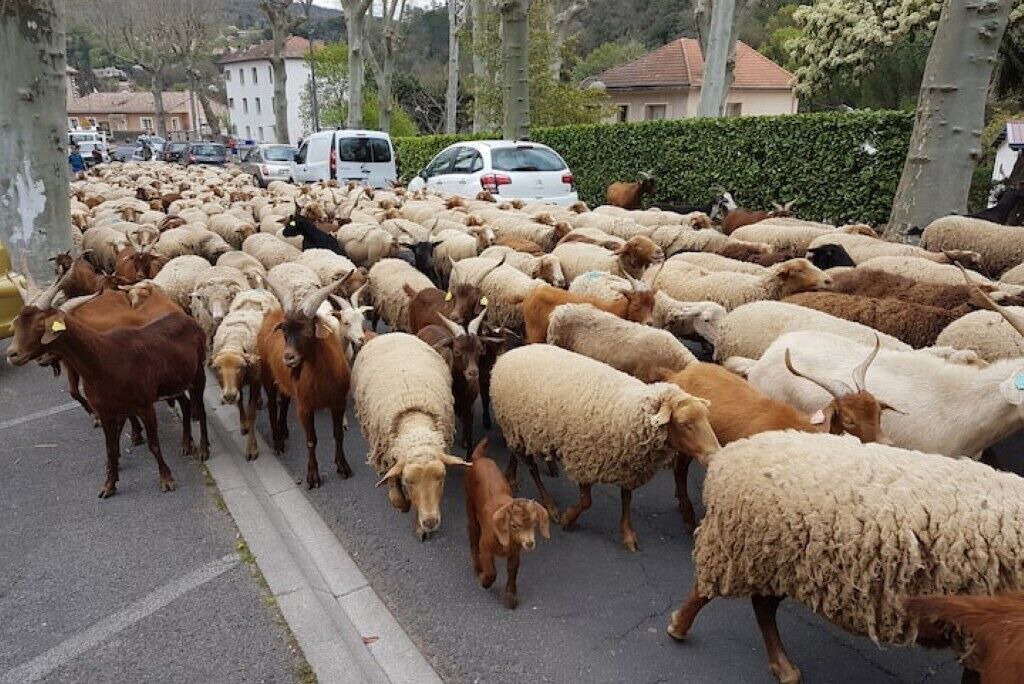 Photo of Others in Mons