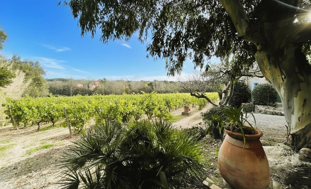 Photo of Outdoor in Ramatuelle
