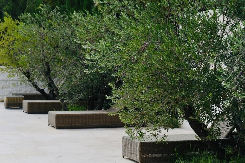 Photo of Patio Balcony in Saint-Etienne-du-Gres
