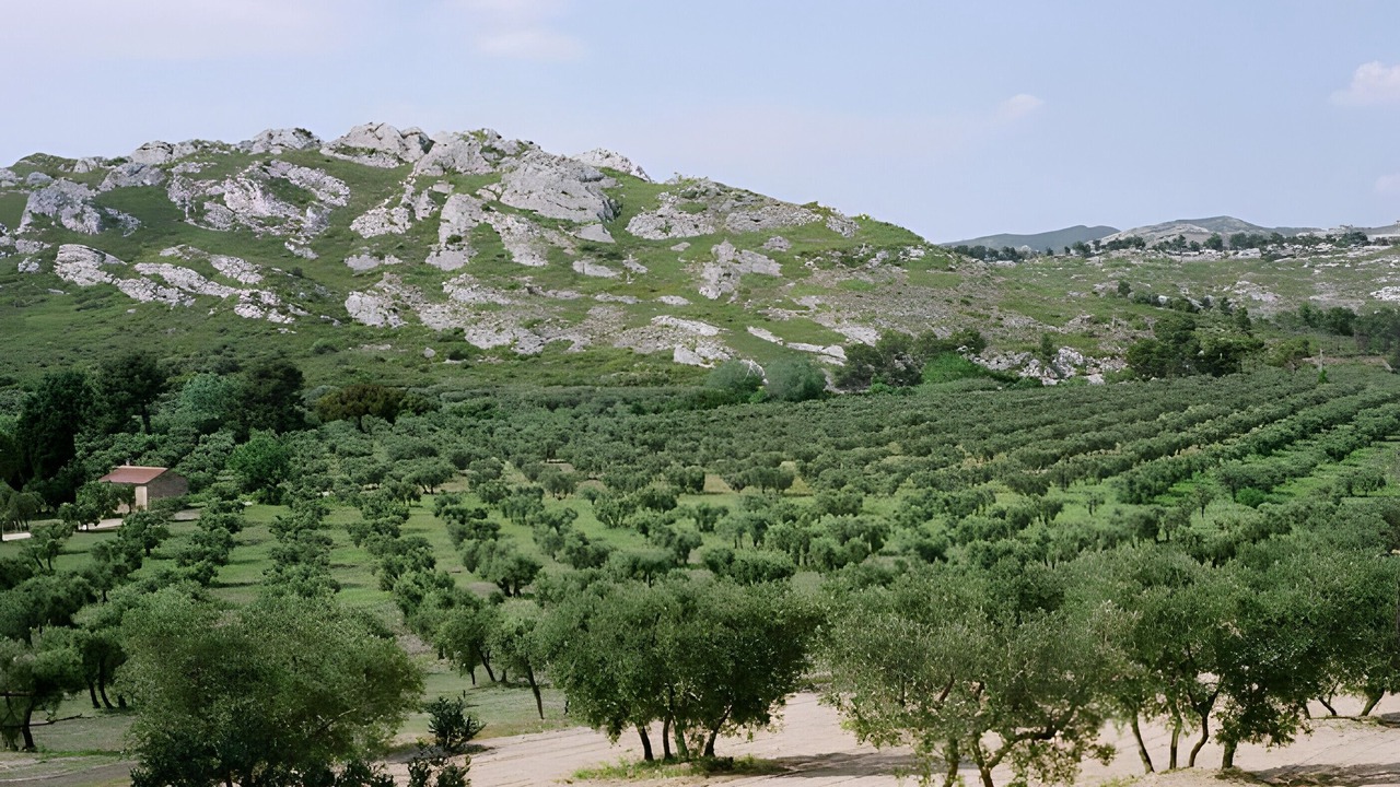 Photo of Others in Mouries