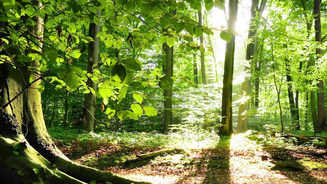 Photo of Outdoor in Sillans-la Cascade