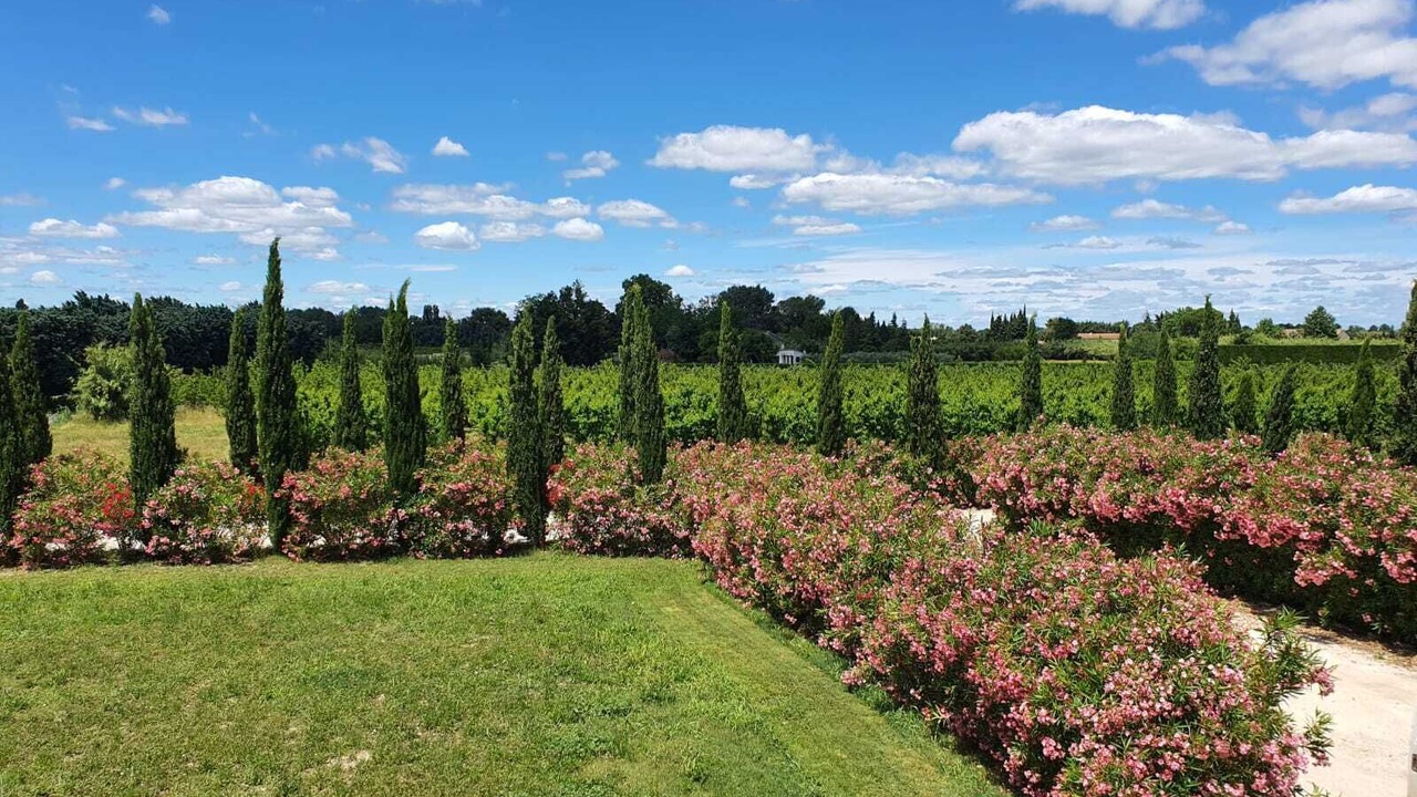 Photo of Outdoor in Saint Pierre de Mezoargues