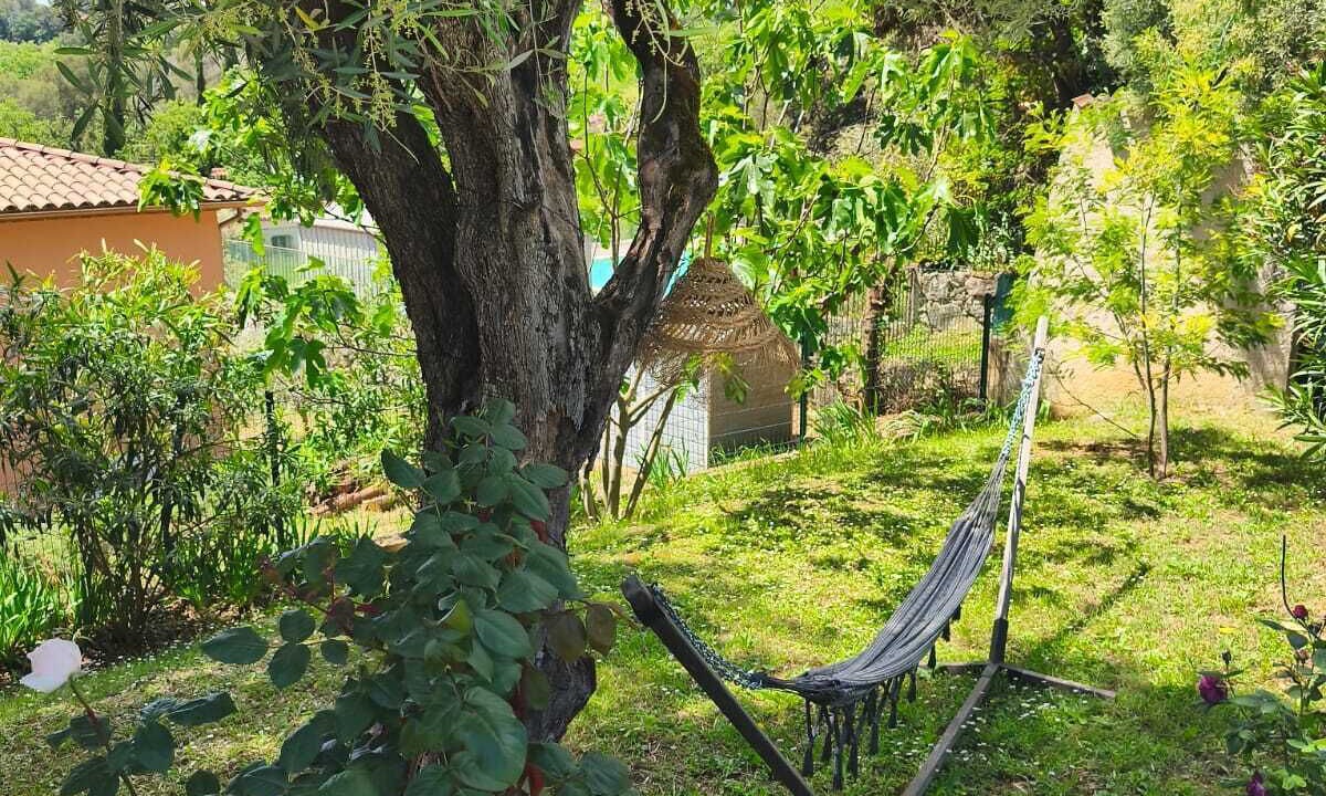 Photo of Outdoor in Vence