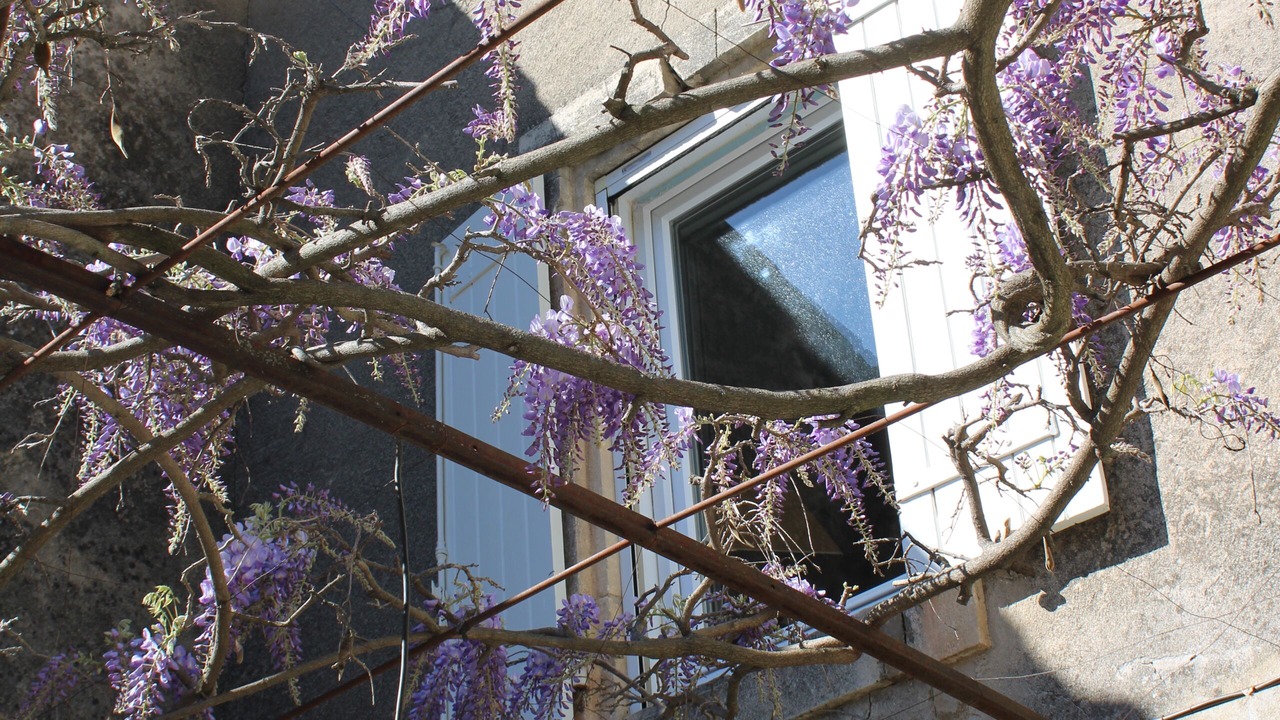 Photo of Outdoor in Cheval-Blanc