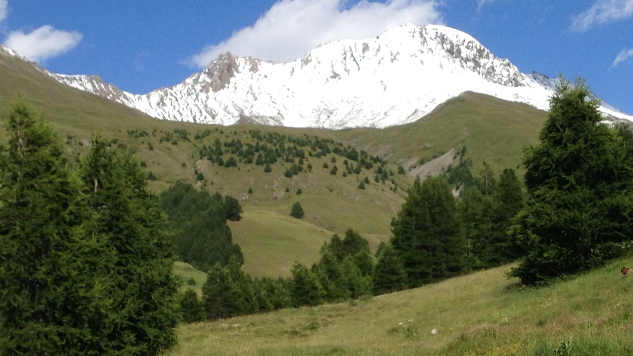 Photo of Others in Molines-en-Queyras