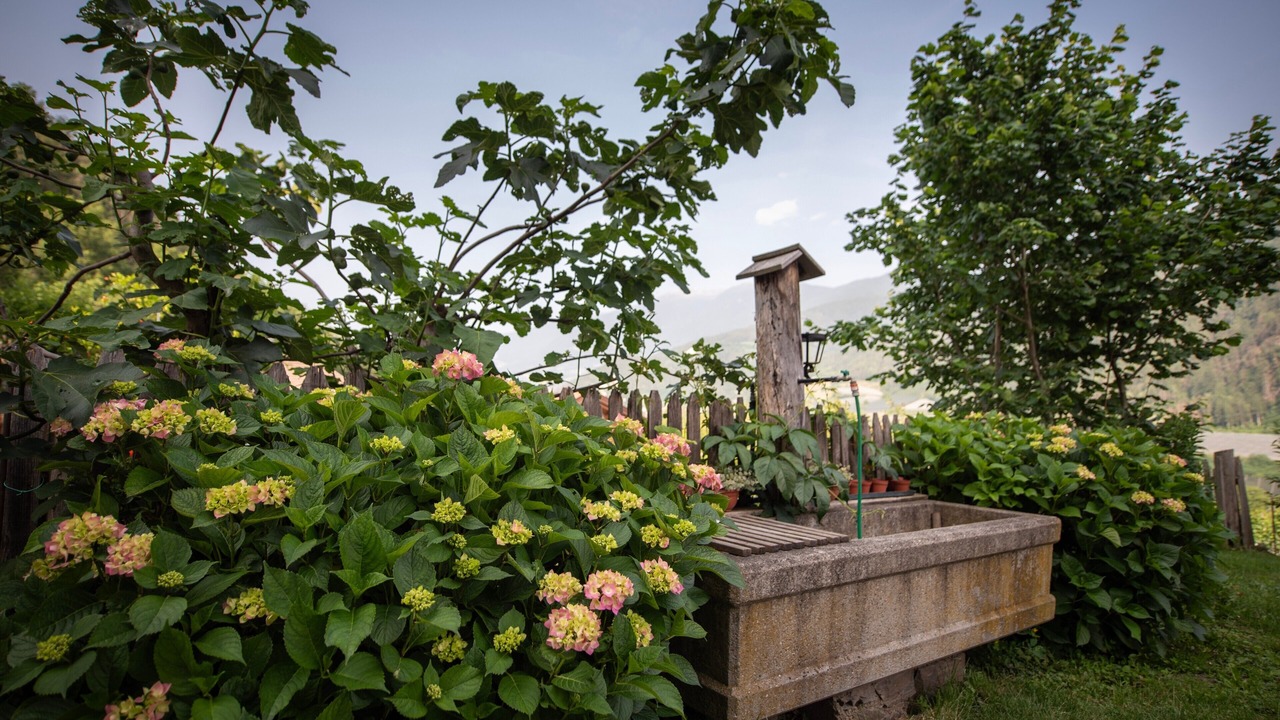 Photo of Outdoor in Feldthurns