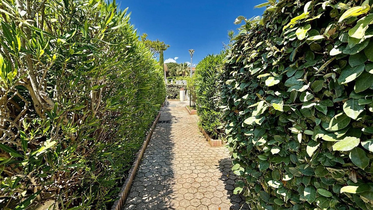 Photo of Outdoor in Le Lavandou