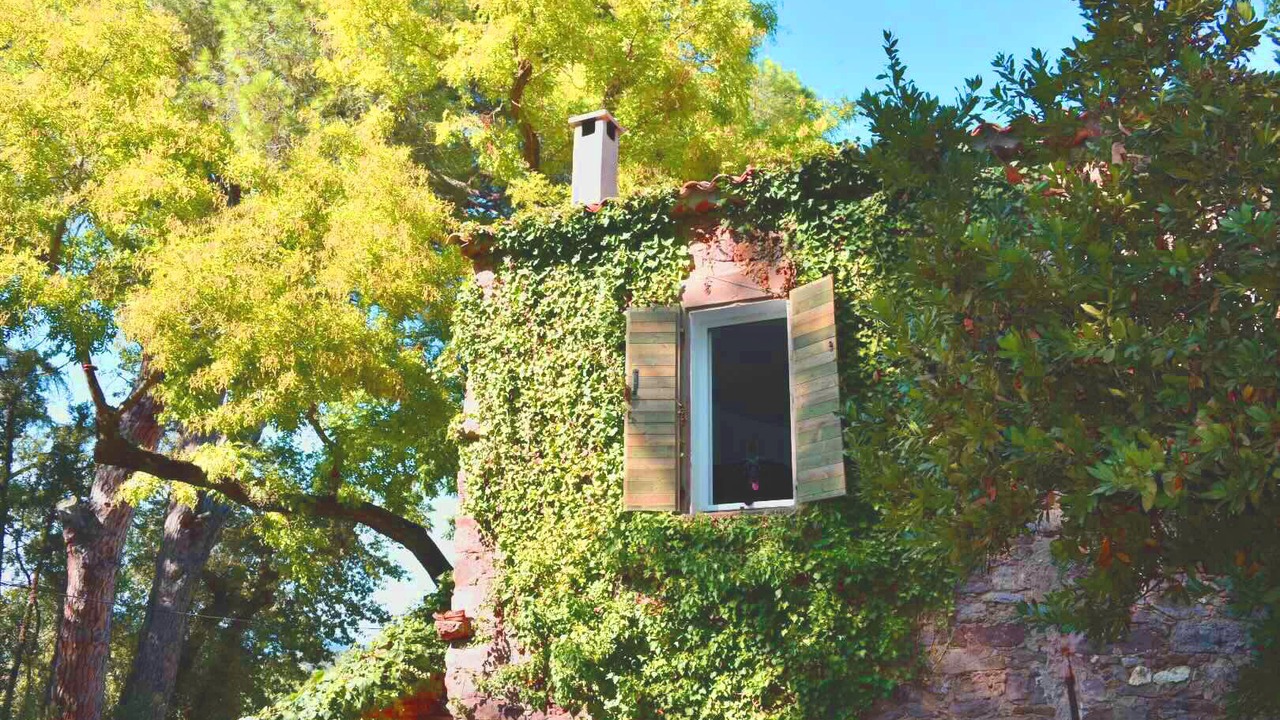 Photo of Outdoor in Hyeres
