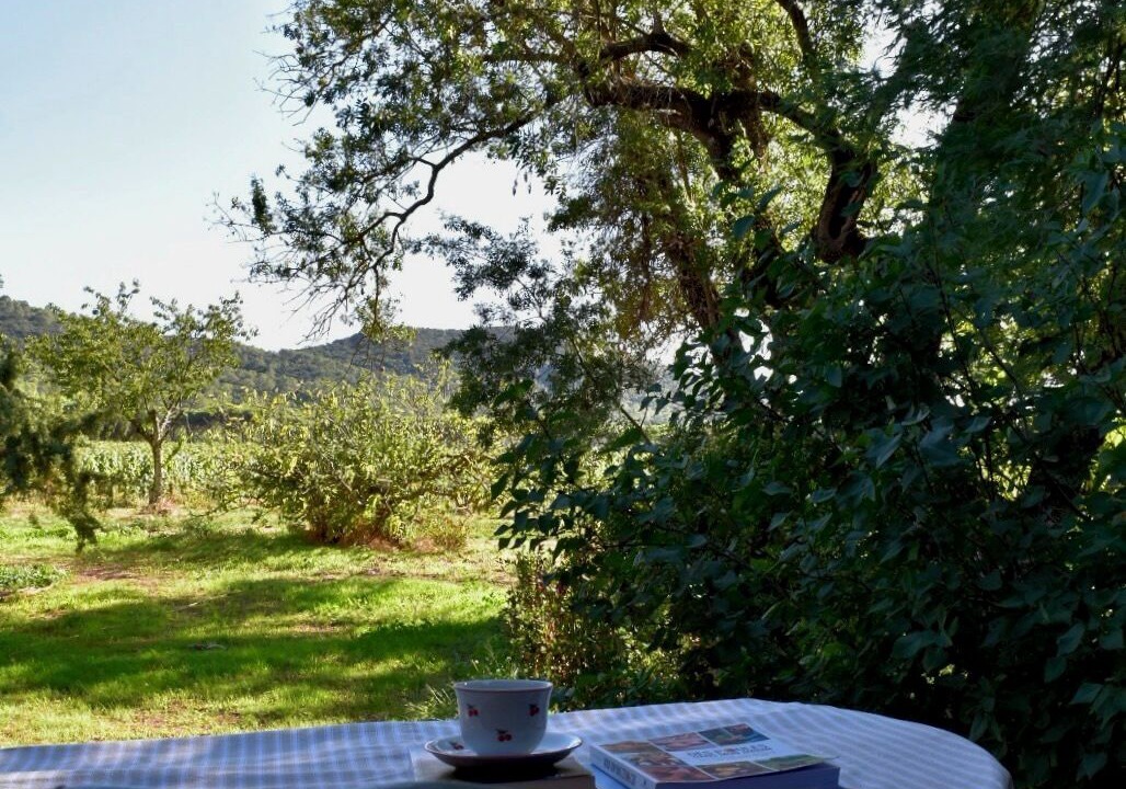 Photo of Outdoor in Hyeres