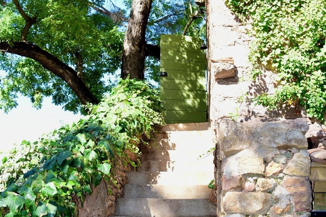 Photo of Outdoor in Hyeres