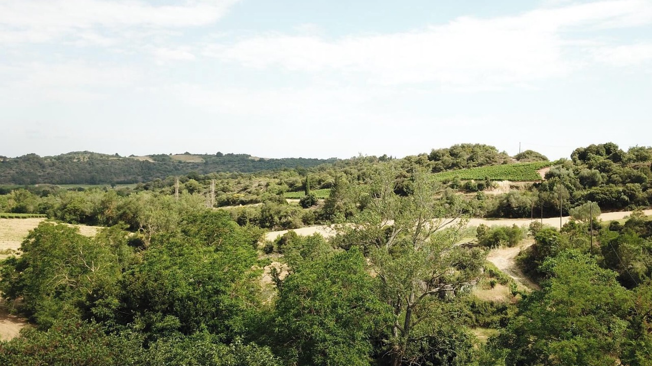 Photo of Others in Saint-Hilaire