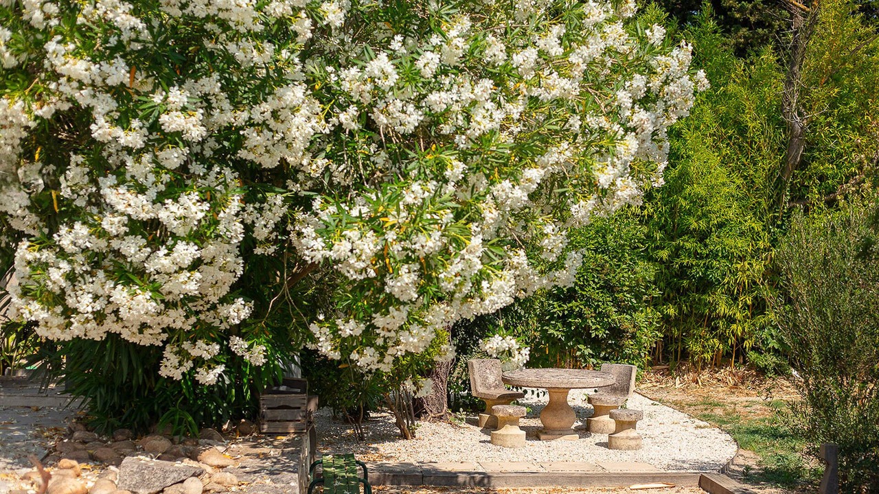 Photo of Outdoor in Eygalieres