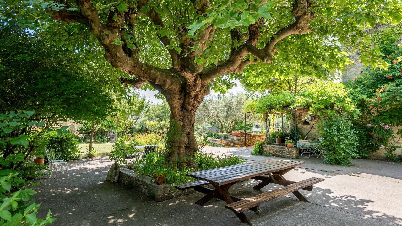 Photo of Outdoor in Saint-Etienne-les-Orgues