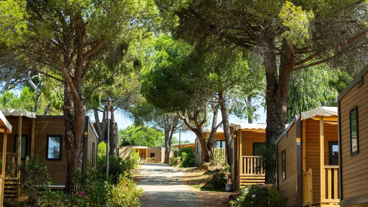 Photo of Outdoor in La Crau