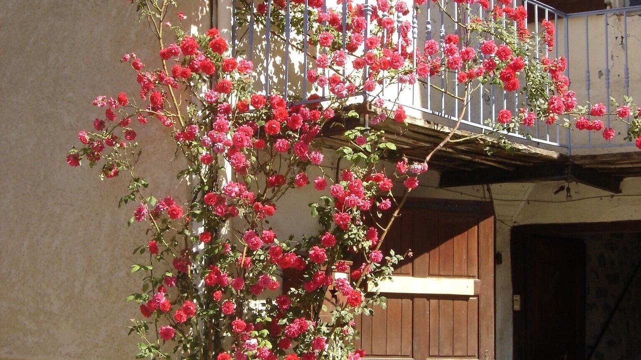 Photo of Outdoor in Allos
