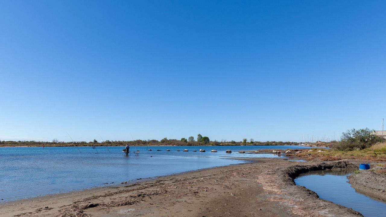 Photo of Others in Port-Saint-Louis-du-Rhone